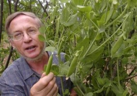 Atmospheric researcher Dr. Alan K. Betts says global warming is changing his Pittsford garden   (photo: Vyto Starinskas / Rutland Herald)